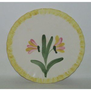 Blue Ridge China Co. WRINKLED ROSE Luncheon Plate